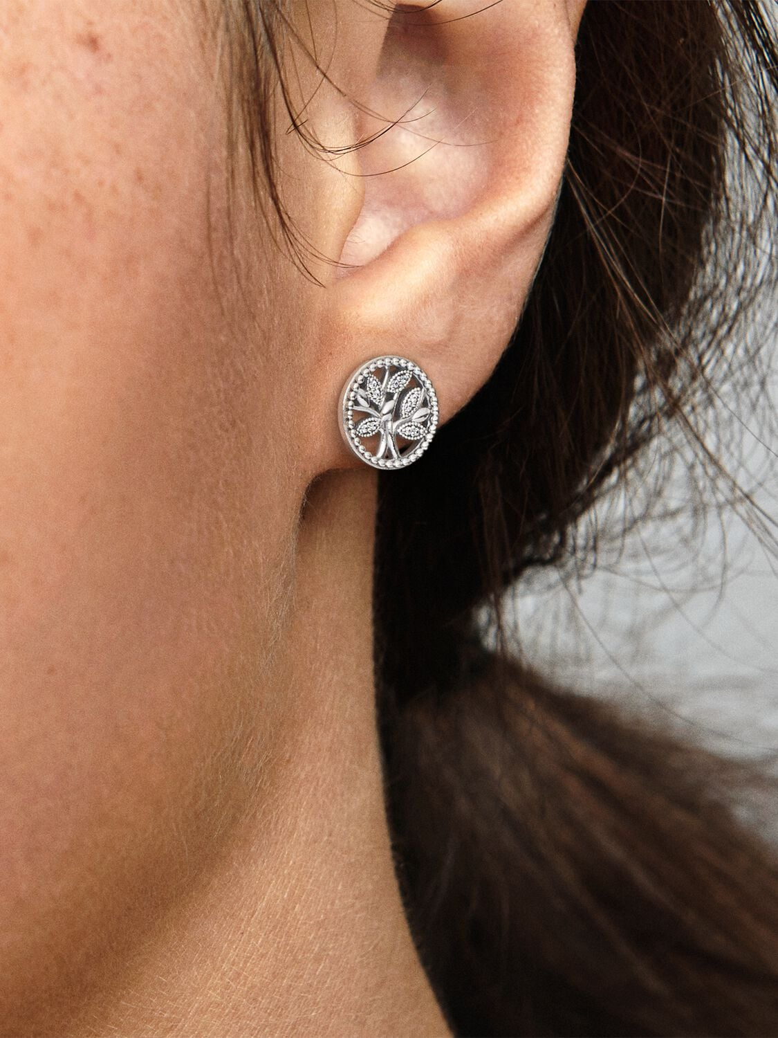 Pandora Sparkling Family Tree Stud Earrings